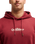 The Quiksilver Mens Fineline Hoodie in Oxblood Red