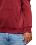 The Quiksilver Mens Fineline Hoodie in Oxblood Red
