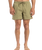 The Quiksilver Mens Everyday Beach Volley Shorts in Aloe