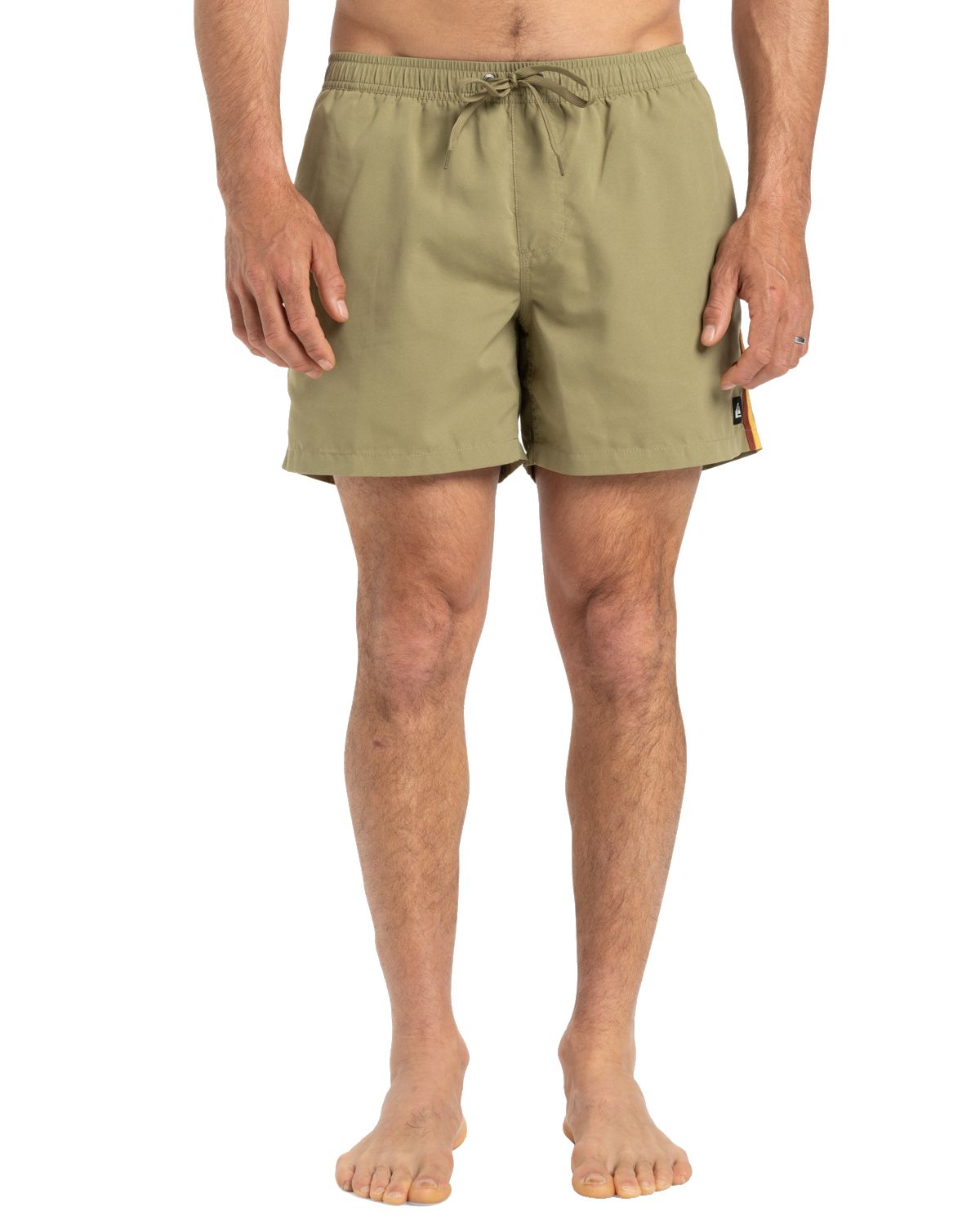 The Quiksilver Mens Everyday Beach Volley Shorts in Aloe