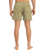 The Quiksilver Mens Everyday Beach Volley Shorts in Aloe