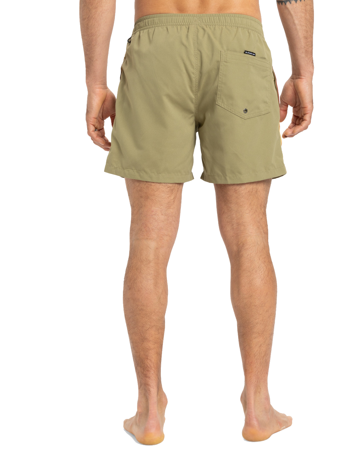 The Quiksilver Mens Everyday Beach Volley Shorts in Aloe