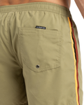 The Quiksilver Mens Everyday Beach Volley Shorts in Aloe