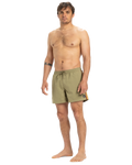 The Quiksilver Mens Everyday Beach Volley Shorts in Aloe