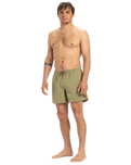 The Quiksilver Mens Everyday Beach Volley Shorts in Aloe