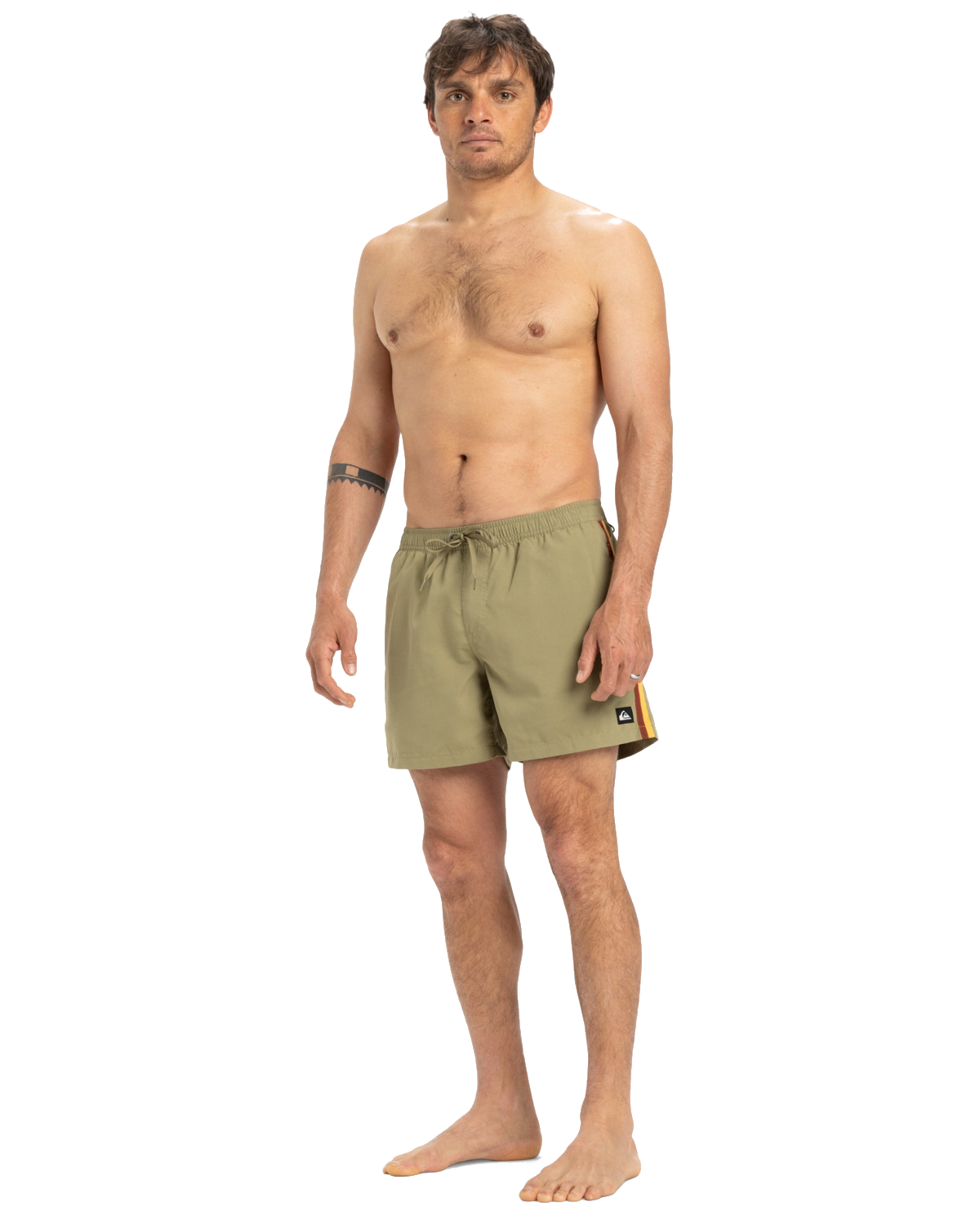 The Quiksilver Mens Everyday Beach Volley Shorts in Aloe