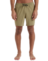 The Quiksilver Mens Surfsilk Solid Volley Shorts in Aloe