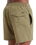 The Quiksilver Mens Surfsilk Solid Volley Shorts in Aloe