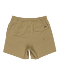 The Quiksilver Mens Surfsilk Solid Volley Shorts in Aloe