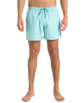 The Quiksilver Mens Everyday Solid Volley Shorts in Aqua Sky