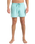 The Quiksilver Mens Everyday Solid Volley Shorts in Aqua Sky