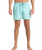 The Quiksilver Mens Everyday Solid Volley Shorts in Aqua Sky
