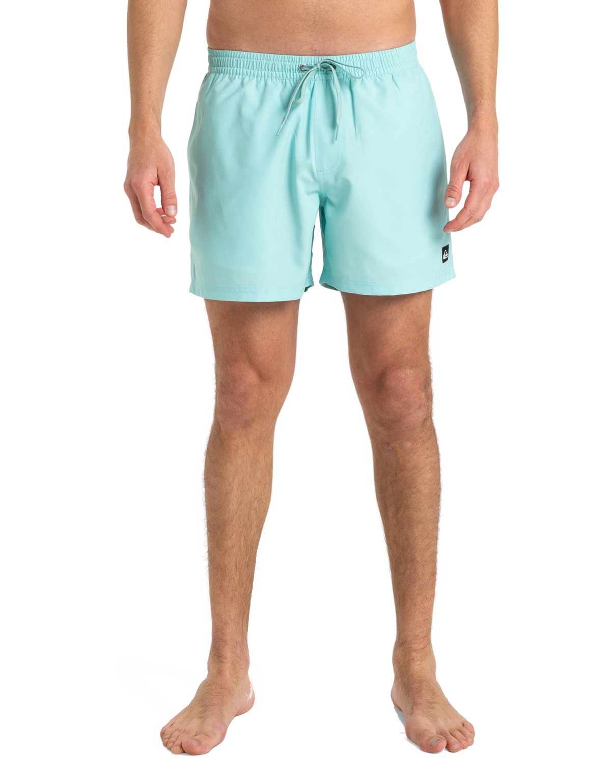 The Quiksilver Mens Everyday Solid Volley Shorts in Aqua Sky