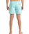 The Quiksilver Mens Everyday Solid Volley Shorts in Aqua Sky