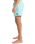 The Quiksilver Mens Everyday Solid Volley Shorts in Aqua Sky
