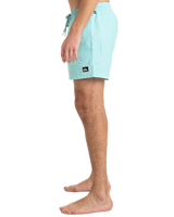 The Quiksilver Mens Everyday Solid Volley Shorts in Aqua Sky