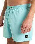 The Quiksilver Mens Everyday Solid Volley Shorts in Aqua Sky