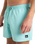 The Quiksilver Mens Everyday Solid Volley Shorts in Aqua Sky