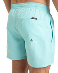 The Quiksilver Mens Everyday Solid Volley Shorts in Aqua Sky