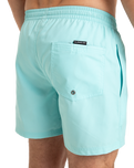The Quiksilver Mens Everyday Solid Volley Shorts in Aqua Sky