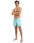 The Quiksilver Mens Everyday Solid Volley Shorts in Aqua Sky