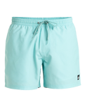 The Quiksilver Mens Everyday Solid Volley Shorts in Aqua Sky