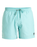 The Quiksilver Mens Everyday Solid Volley Shorts in Aqua Sky