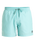 The Quiksilver Mens Everyday Solid Volley Shorts in Aqua Sky