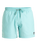 The Quiksilver Mens Everyday Solid Volley Shorts in Aqua Sky