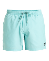 The Quiksilver Mens Everyday Solid Volley Shorts in Aqua Sky