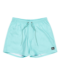 The Quiksilver Mens Everyday Solid Volley Shorts in Aqua Sky