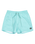 The Quiksilver Mens Everyday Solid Volley Shorts in Aqua Sky