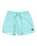 The Quiksilver Mens Everyday Solid Volley Shorts in Aqua Sky