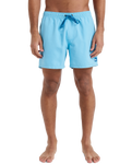 The Quiksilver Mens Everyday Solid Volley Shorts in Milky Blue