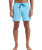 The Quiksilver Mens Everyday Solid Volley Shorts in Milky Blue