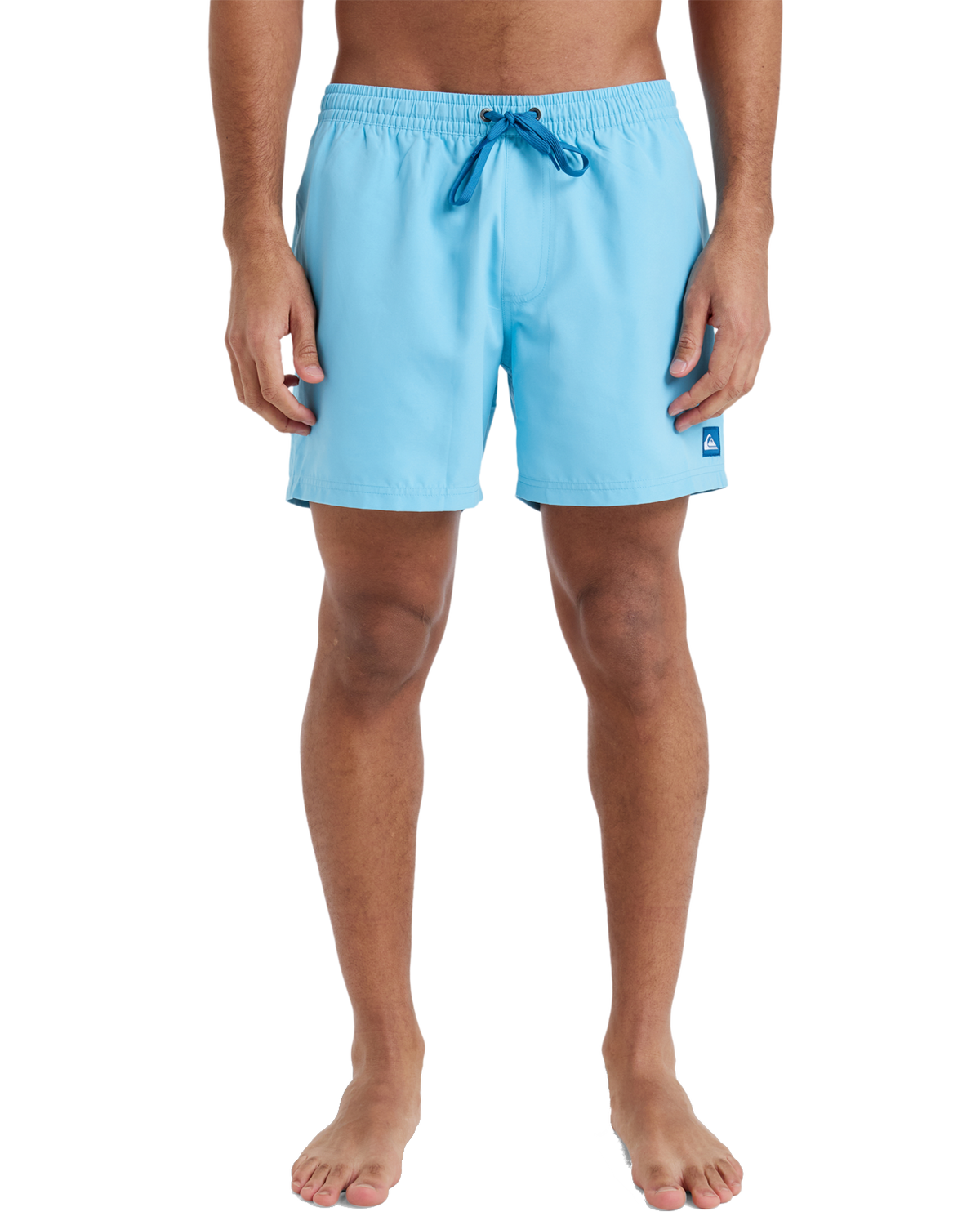 The Quiksilver Mens Everyday Solid Volley Shorts in Milky Blue