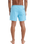 The Quiksilver Mens Everyday Solid Volley Shorts in Milky Blue