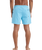 The Quiksilver Mens Everyday Solid Volley Shorts in Milky Blue
