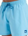 The Quiksilver Mens Everyday Solid Volley Shorts in Milky Blue