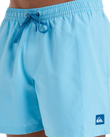 The Quiksilver Mens Everyday Solid Volley Shorts in Milky Blue