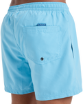 The Quiksilver Mens Everyday Solid Volley Shorts in Milky Blue