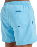 The Quiksilver Mens Everyday Solid Volley Shorts in Milky Blue