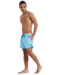 The Quiksilver Mens Everyday Solid Volley Shorts in Milky Blue
