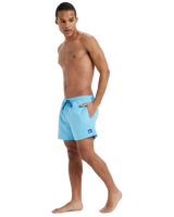 The Quiksilver Mens Everyday Solid Volley Shorts in Milky Blue