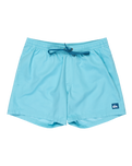 The Quiksilver Mens Everyday Solid Volley Shorts in Milky Blue