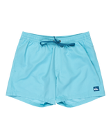 The Quiksilver Mens Everyday Solid Volley Shorts in Milky Blue
