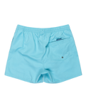 The Quiksilver Mens Everyday Solid Volley Shorts in Milky Blue