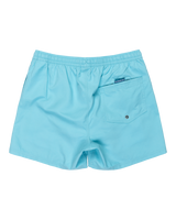 The Quiksilver Mens Everyday Solid Volley Shorts in Milky Blue