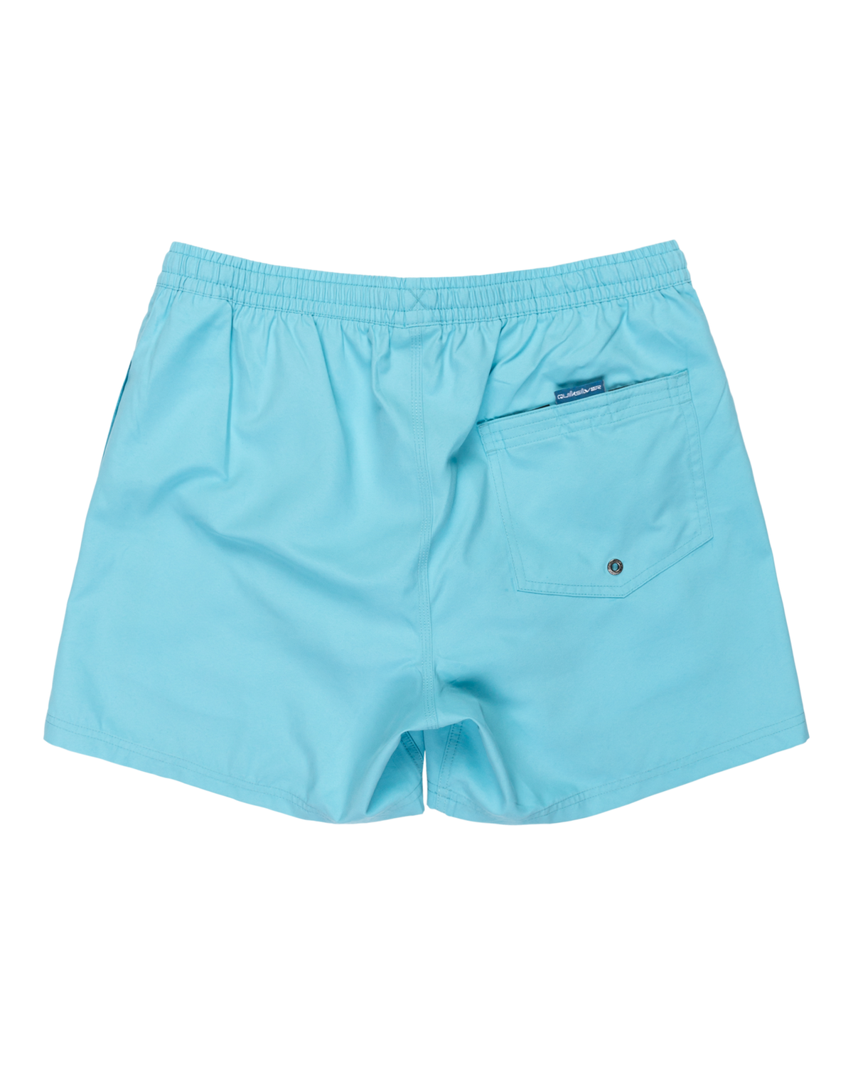 The Quiksilver Mens Everyday Solid Volley Shorts in Milky Blue