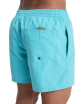 Everyday Solid Volley Shorts in Aqua